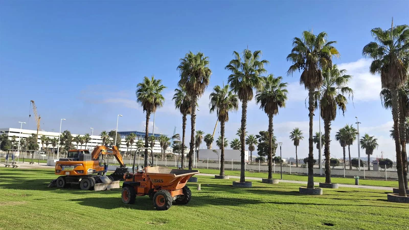 Comienza el trasplante de 12 palmeras del Saladillo por las obras del Acceso Sur al Puerto de Algeciras