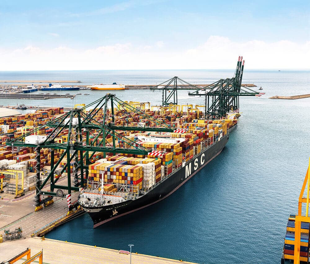 MSC Terminal Valencia en el Puerto de Valencia: instalaciones de la terminal (imagen 2 de 3)