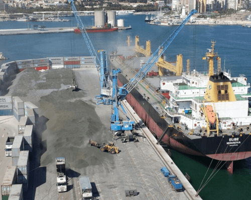 Noatum Terminal Málaga en el Puerto de Málaga: instalaciones de la terminal (imagen 3 de 4)