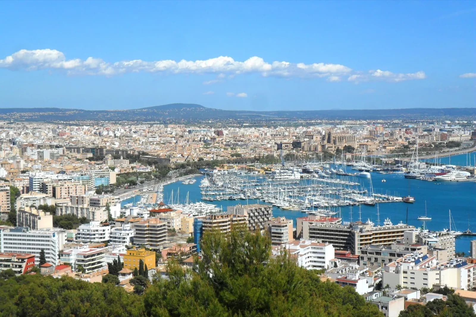 Mallorca es el puerto de nuestro país preferido por los españoles para una escala de crucero