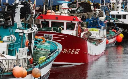 Inspectores de pesca del Caribe participan en el curso internacional de la FAO para combatir la pesca ilegal en el Puerto de Vigo