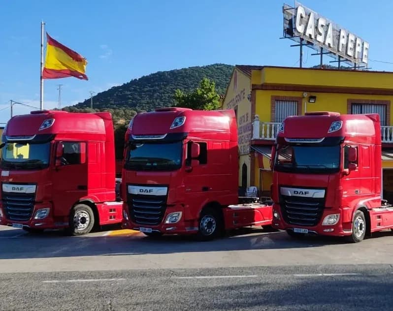 Fletamentos Cádiz, S.L. amplía su flota con la adquisición de tres nuevas tractoras DAF