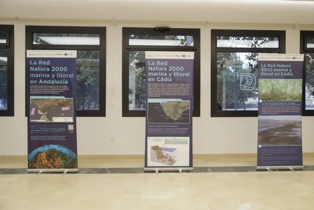 La Autoridad Portuaria de la Bahía de Cádiz lanza una campaña de sensibilización ambiental en el marco del proyecto Intemares