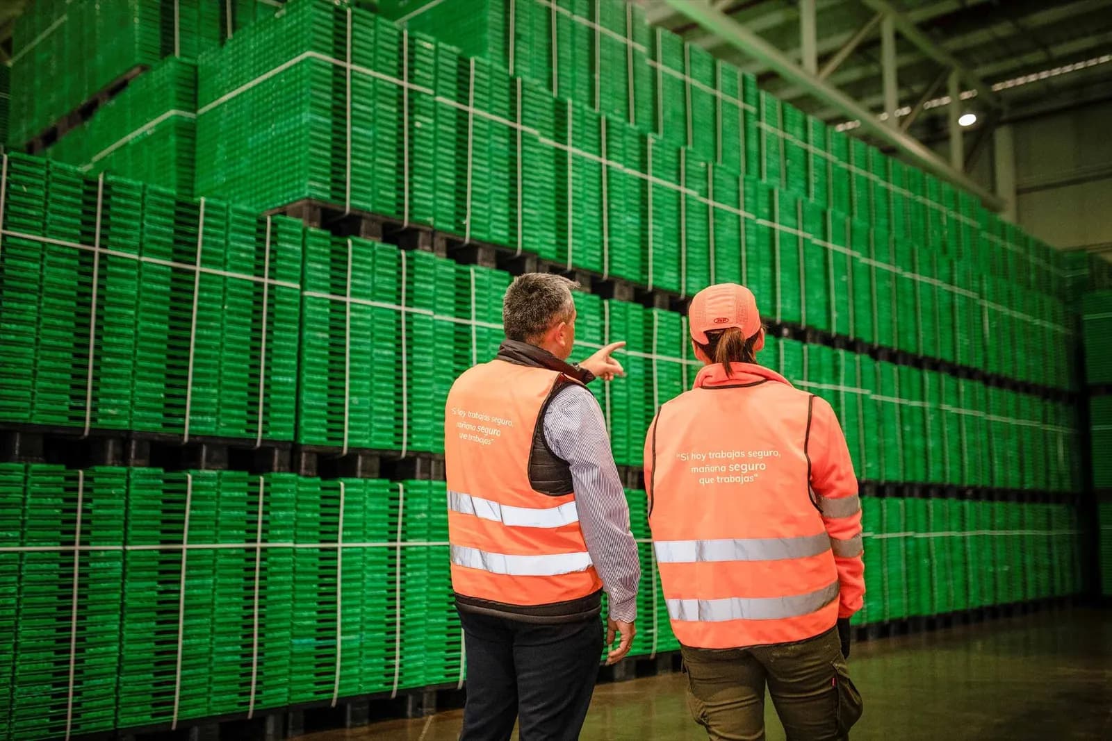 Logifruit crece un 6% en 2023, alcanzando los 152 millones de euros en facturación