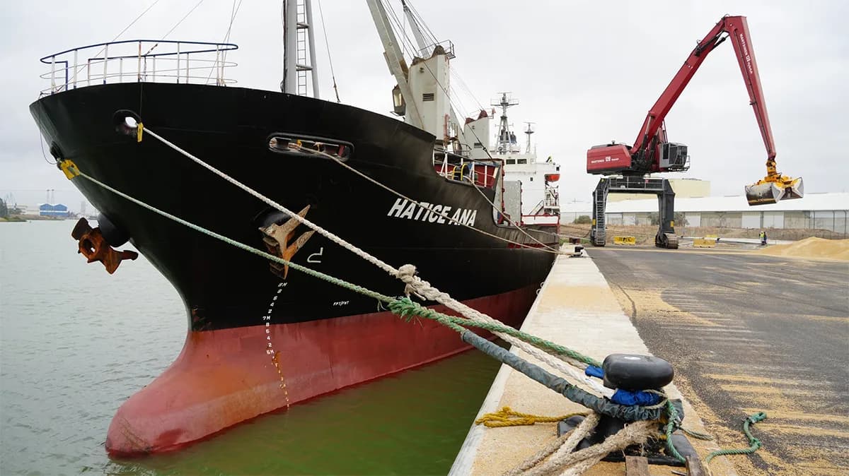 La nueva terminal del Puerto de Sevilla comienza su actividad con la operativa de dos buques de cereal