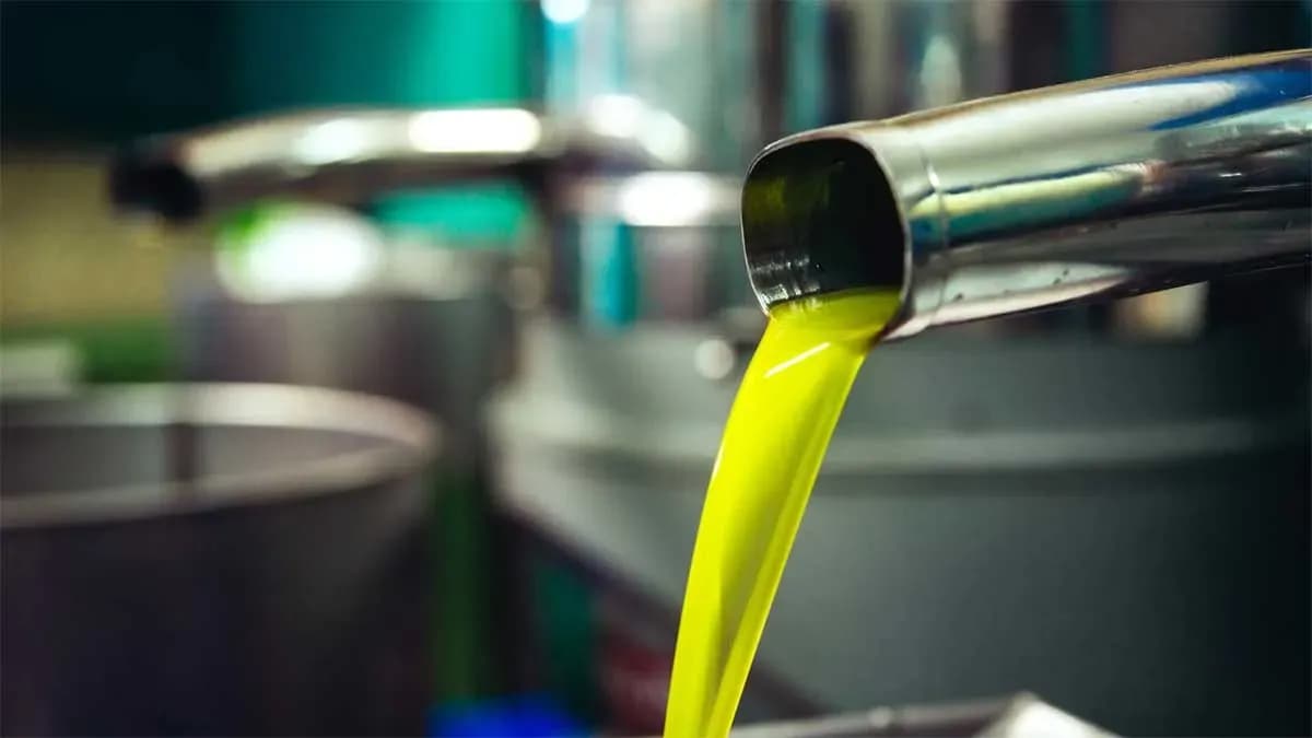 Andalucía lidera las exportaciones agroalimentarias de España en los dos primeros meses de 2026 con más de 3.000 millones de euros