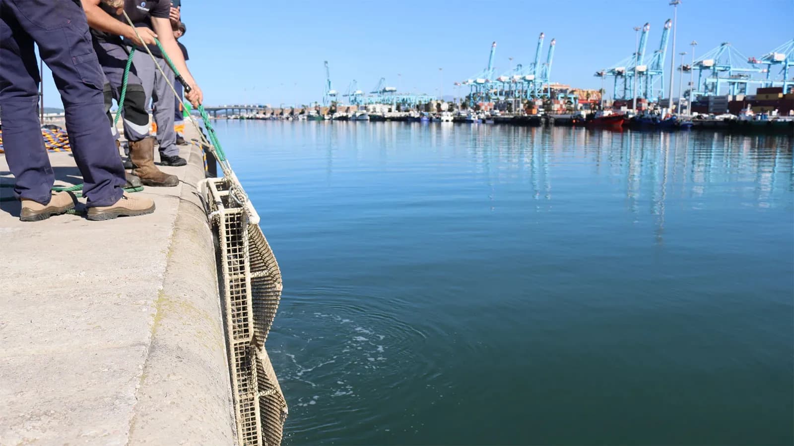 La APBA ampliará la regeneración marina de los puertos de Algeciras y Tarifa con 18 nuevos arrecifes artificiales