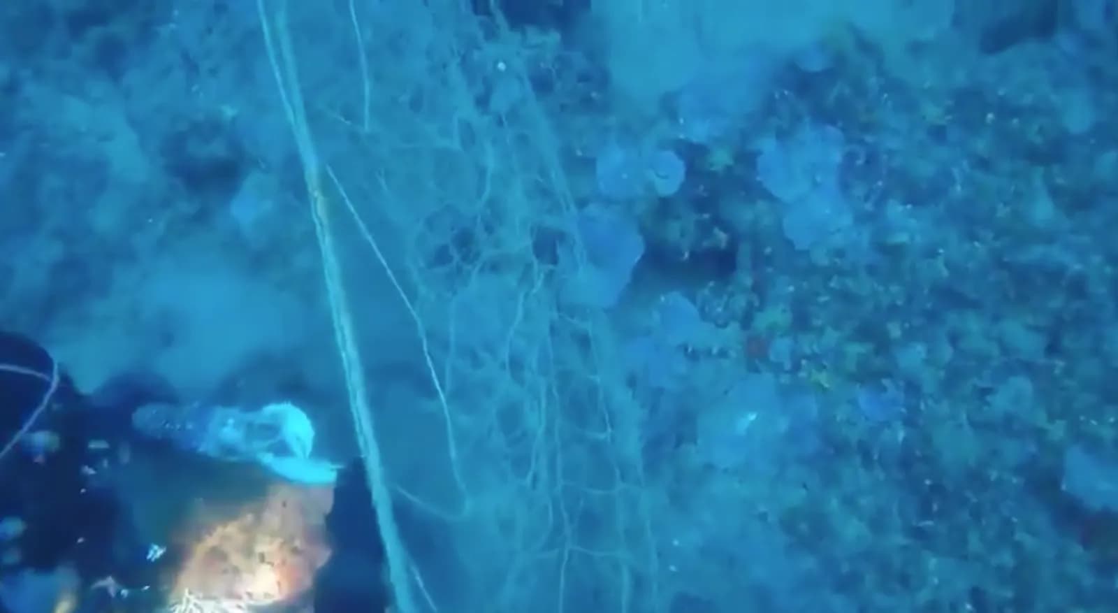 Retiran una red de pesca de 150 metros a 52 de profundidad en la costa de Gerona