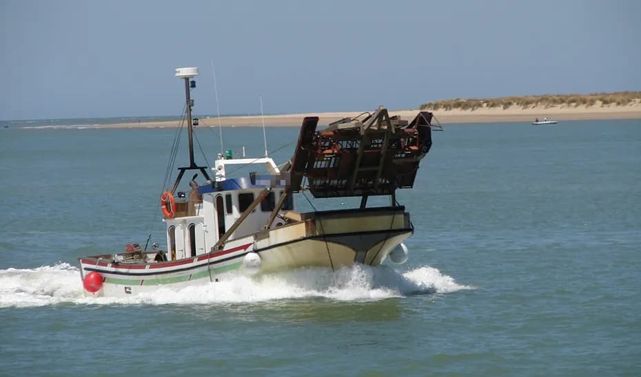 La Junta de Andalucía decreta el cierre de la pesquería de la chirla en el golfo de Cádiz