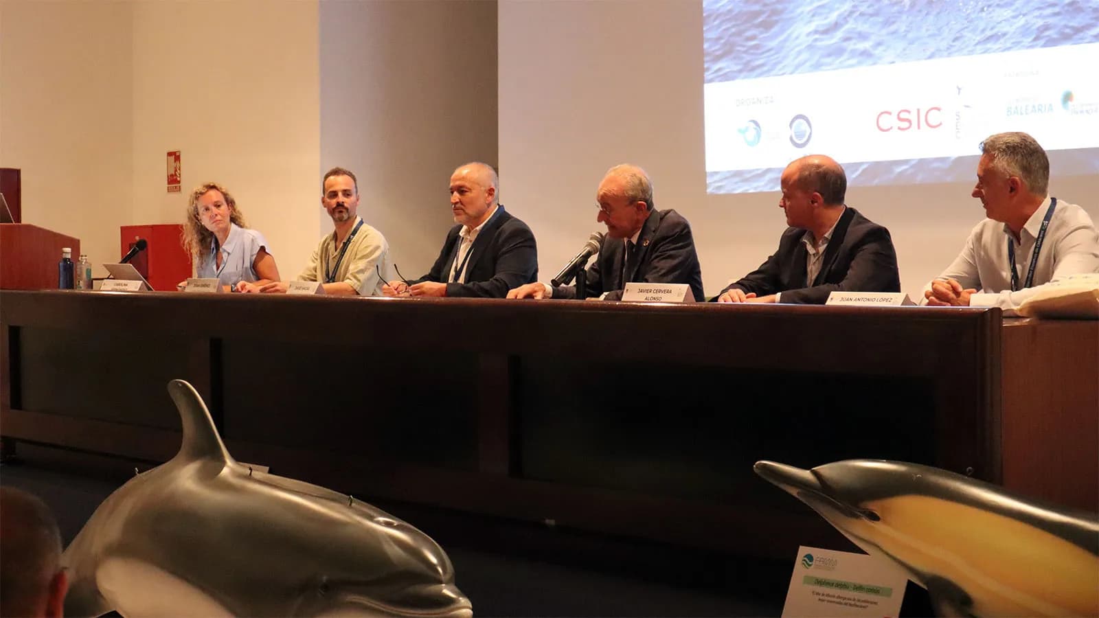 El XV Congreso de la Sociedad Española de Cetáceos reúne en Málaga a 175 especialistas en megafauna marina