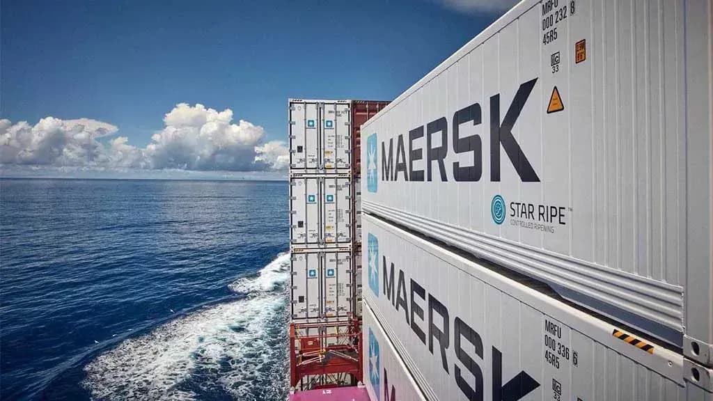 Maersk suspende rutas clave y aplica recargos por la crisis en Oriente Medio