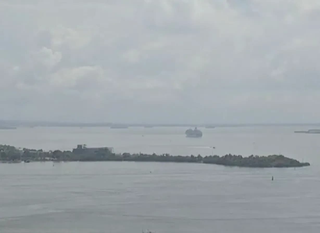 La Organización Mundial de la Salud investiga un posible brote de hantavirus en un crucero