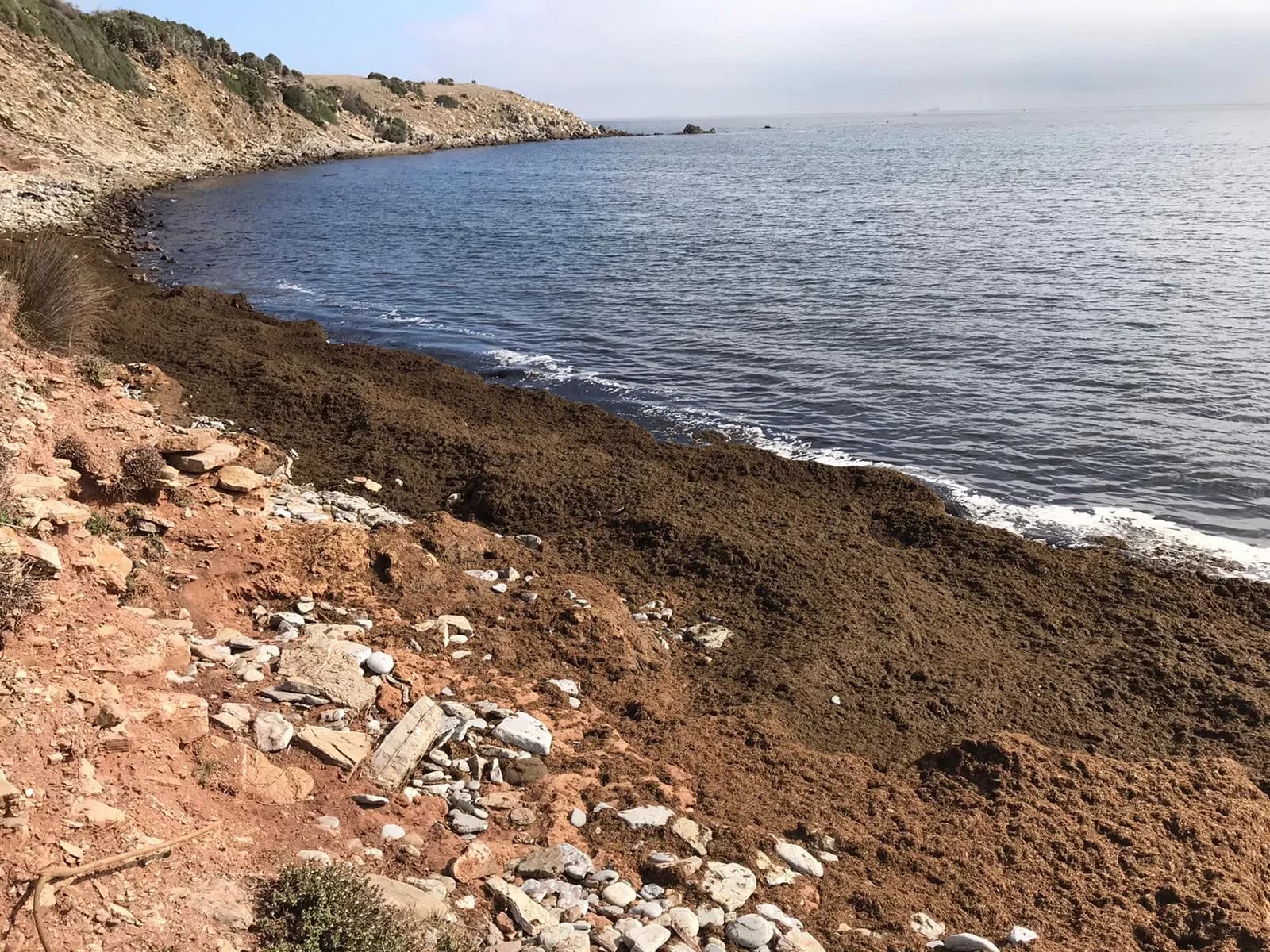 El Ayuntamiento de Algeciras acomete trabajos de limpieza en la playa de Cala Arena