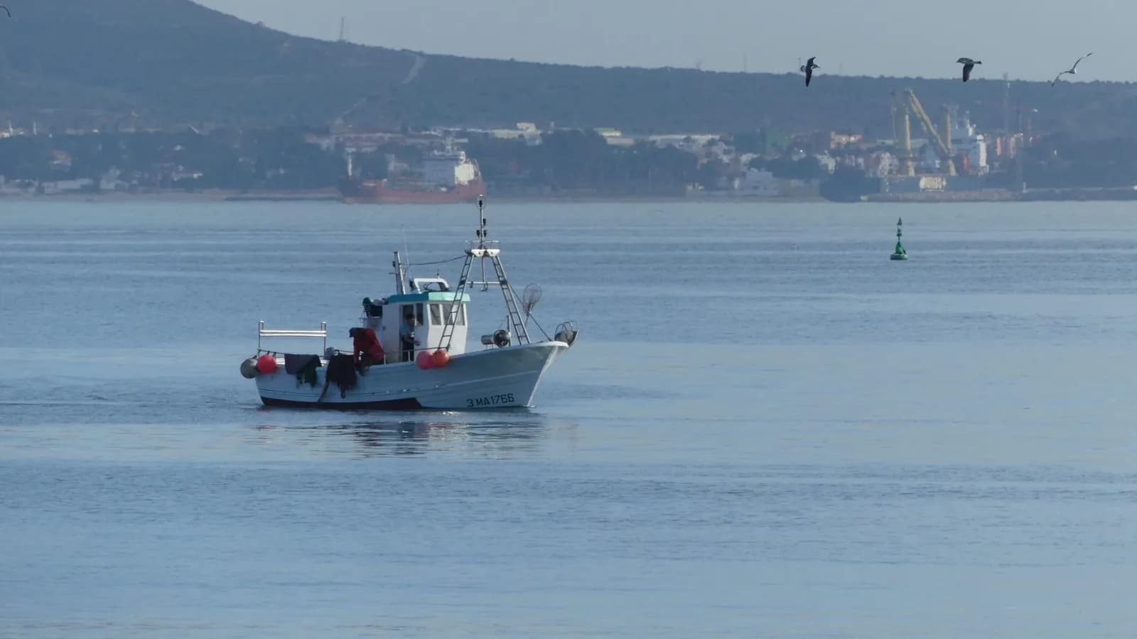 España, Francia e Italia pedirán en Bruselas limitar al 20% la reducción de días de pesca en el Mediterráneo