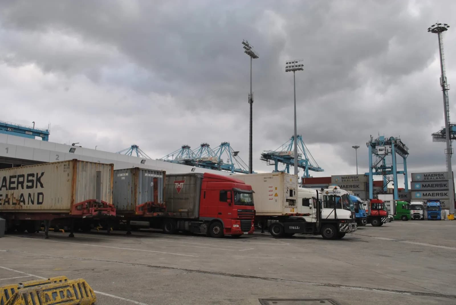El bloqueo de mercancías perecederas en el PCF del puerto de Algeciras puede provocar el desvío de tráficos