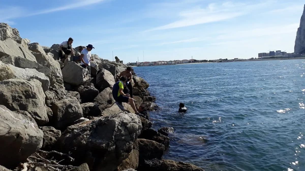 El Puerto de Tarifa reforzará su talud exterior con medidas de conservación de la lapa ferruginosa