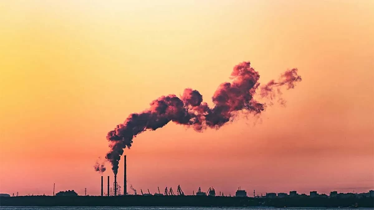 EU ETS emissions fall by 1.3% in 2025, with maritime transport recording a decrease of 3%