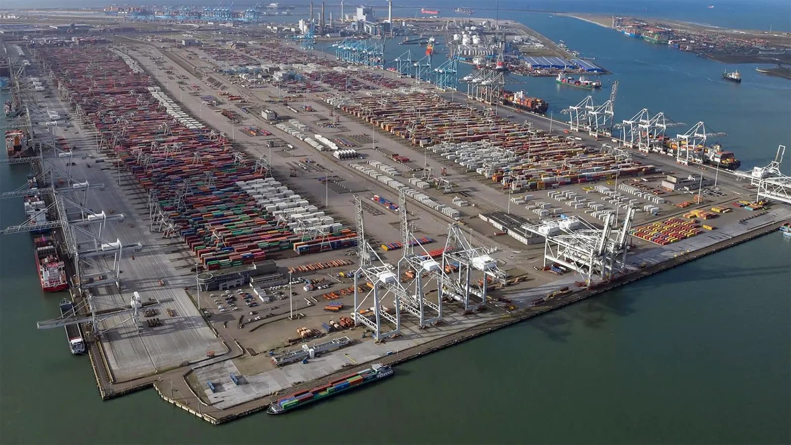 MSC and Hutchison Ports resume negotiations to build a terminal with capacity for up to 7 million TEUs in Rotterdam