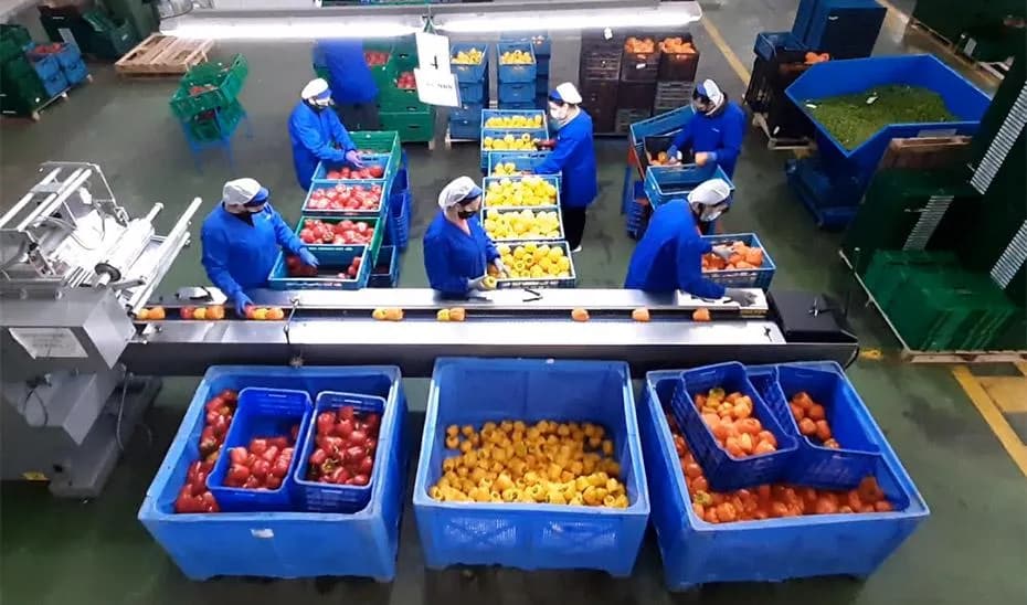L’UE porte son excédent commercial agroalimentaire à 34,7 milliards d’euros jusqu’en août