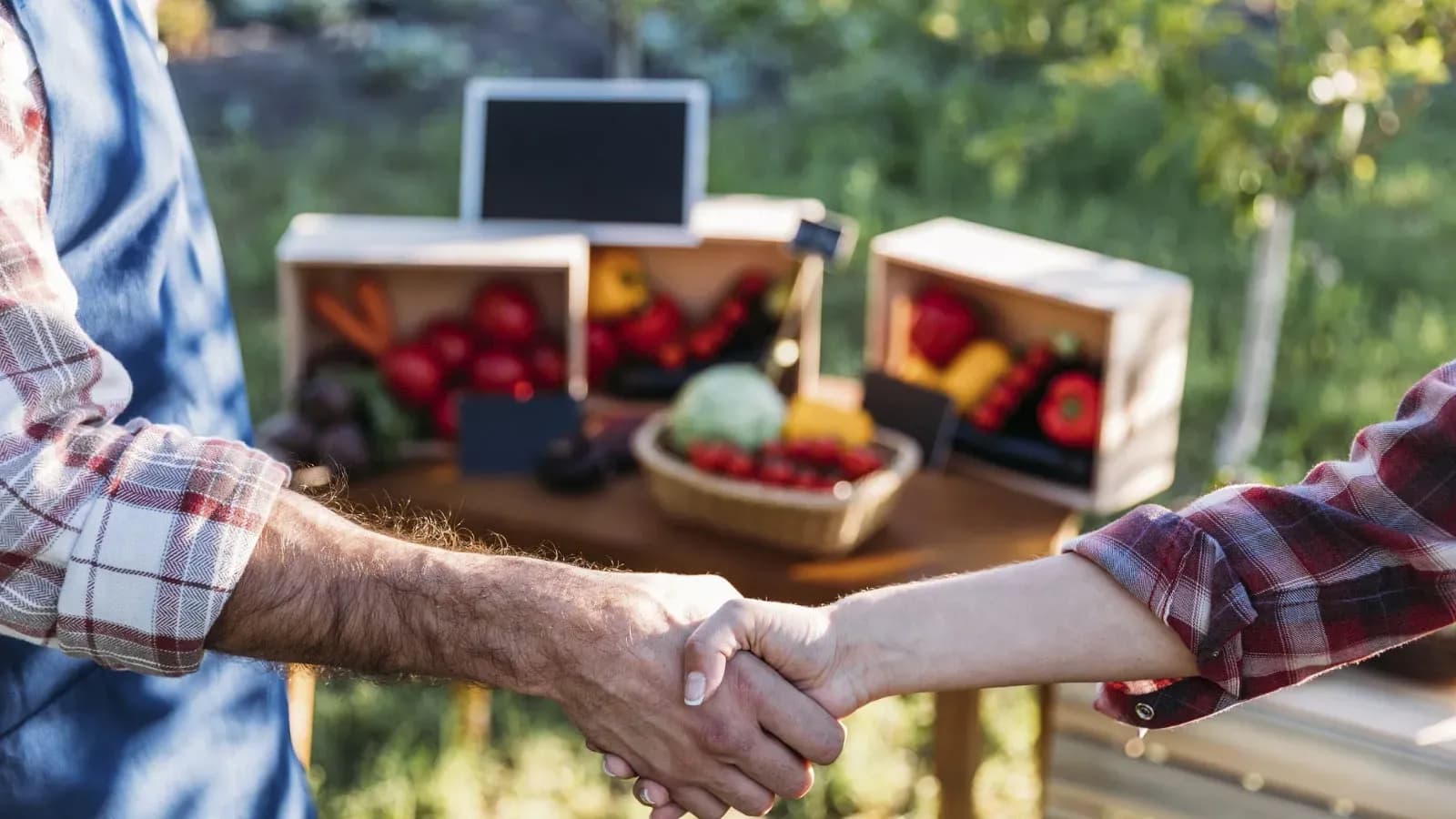 Alemania consolida su posición como primer destino de las exportaciones agroalimentarias andaluzas