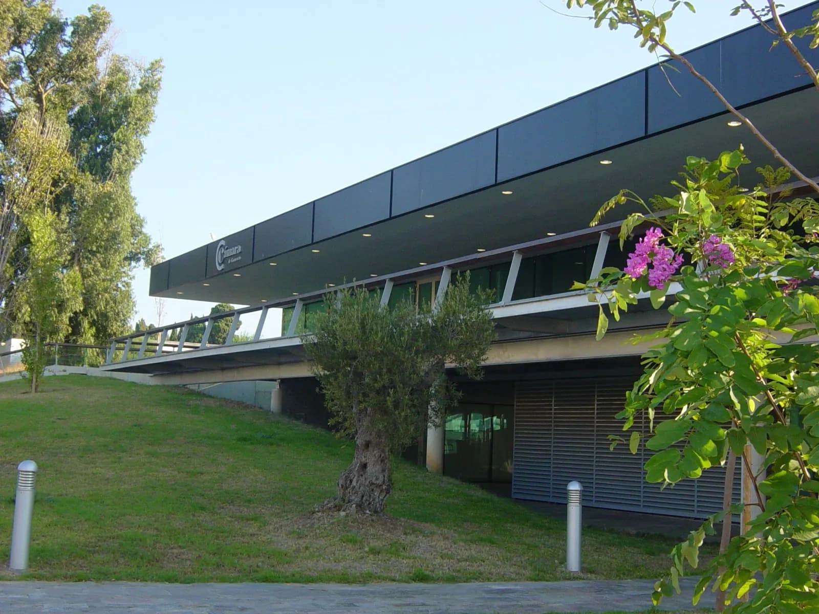 La Cámara de Comercio del Campo de Gibraltar impulsa la transformación digital de las PYMES