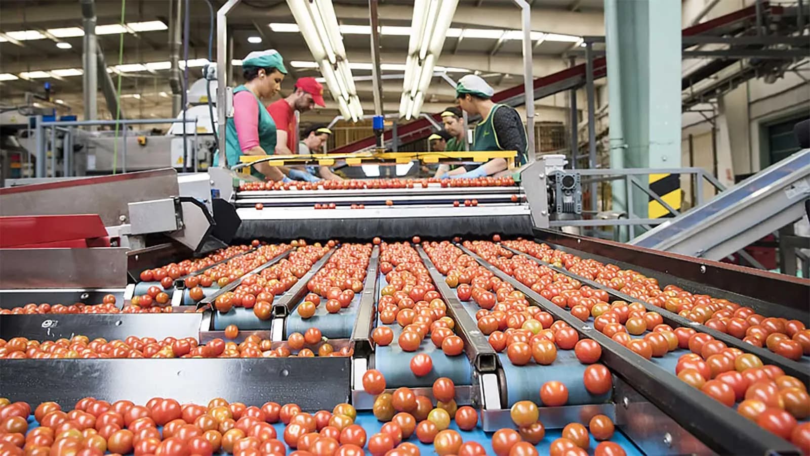 Las exportaciones agroalimentarias andaluzas crecen un 4% en el primer cuatrimestre y alcanzan los 6.580 millones de euros