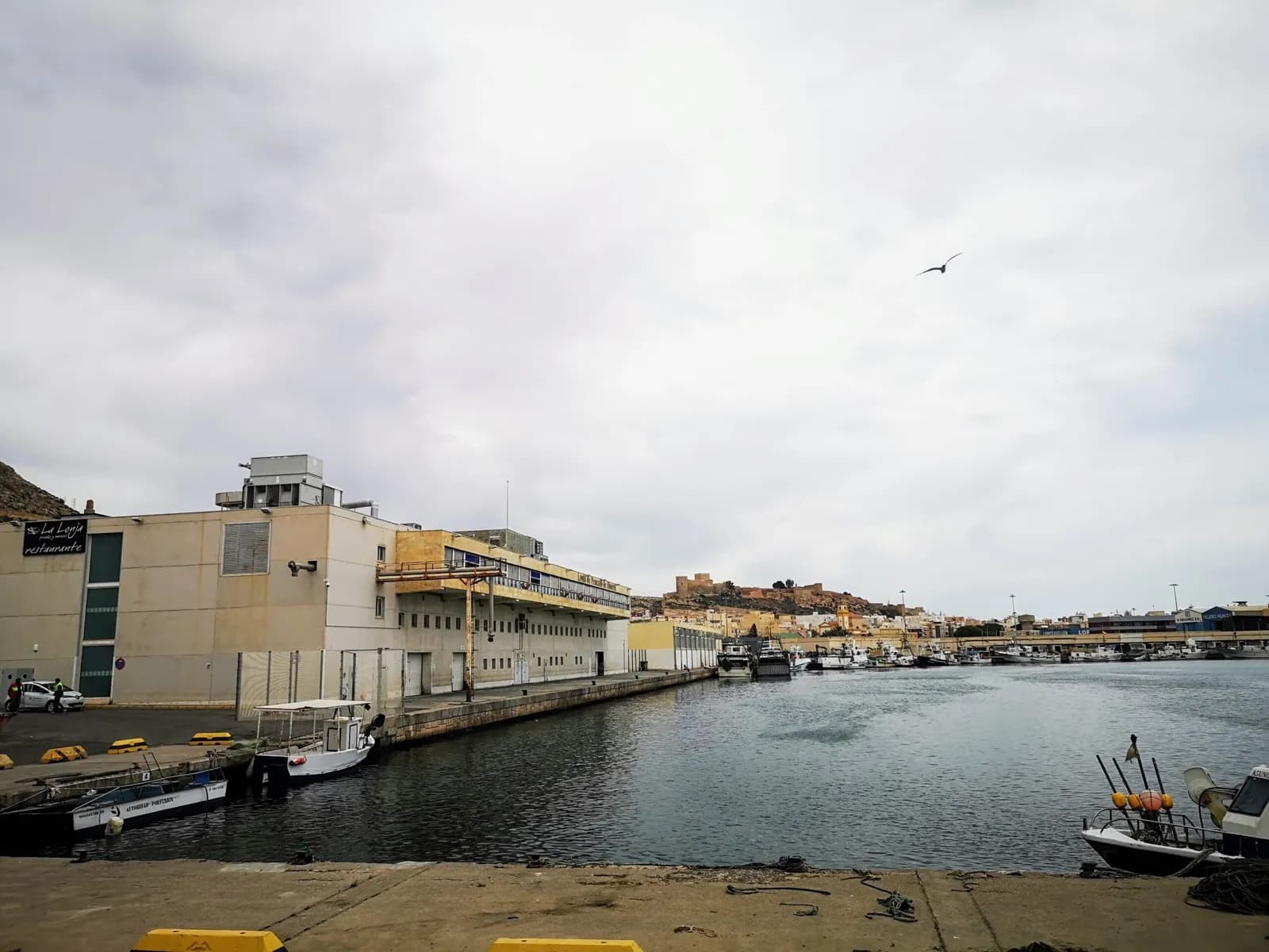 La Autoridad Portuaria de Almería convoca un concurso para la explotación de la Lonja de Pescado