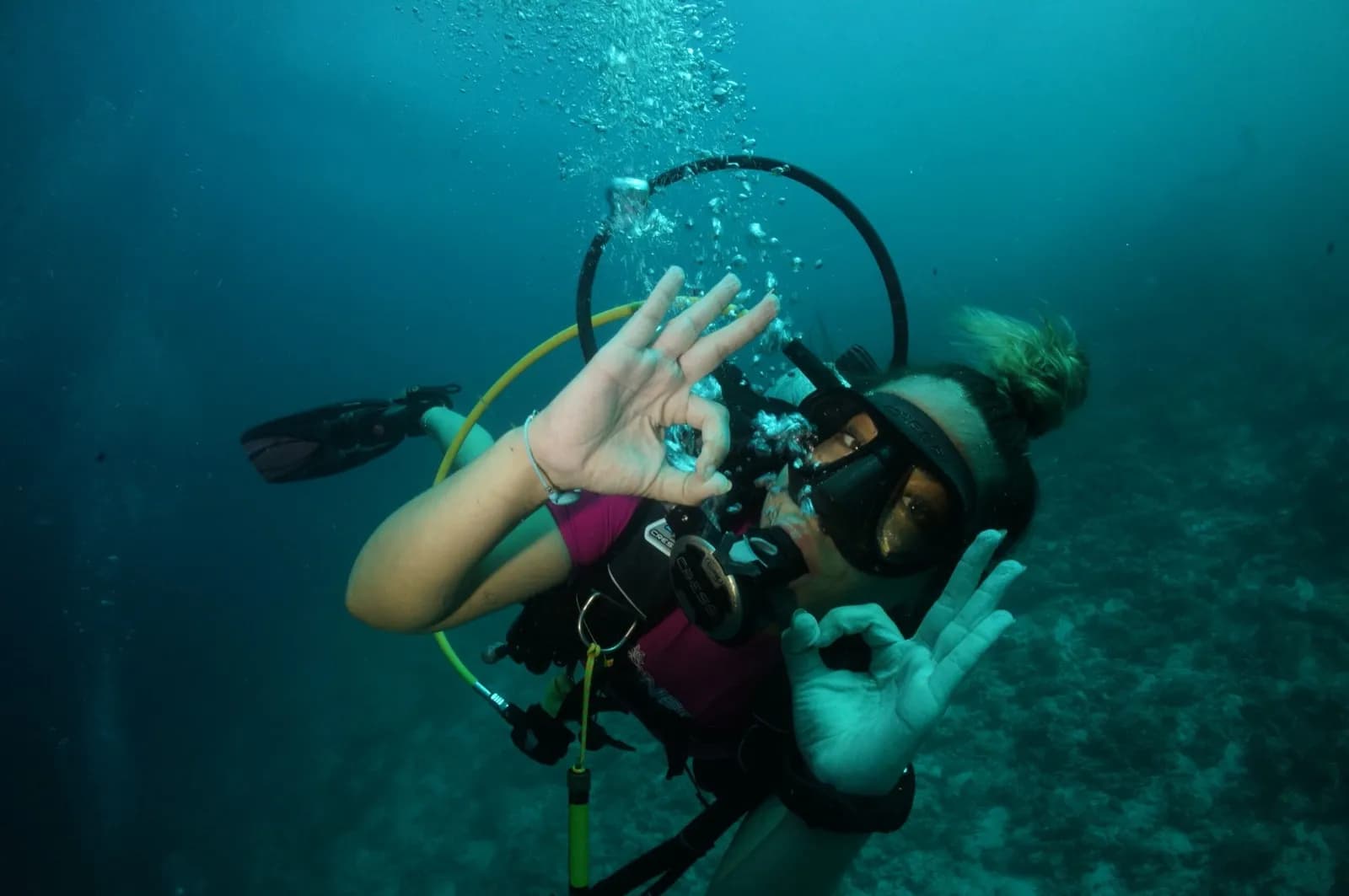La guía de buceo «Málaga Sumergida» se presenta en el Museo de Nerja