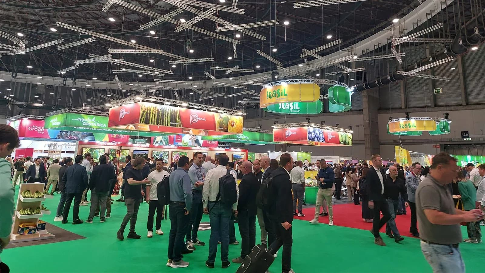Total Logistic Services lleva a Fruit Attraction 2026 su operativa reefer y aduanera desde Algeciras