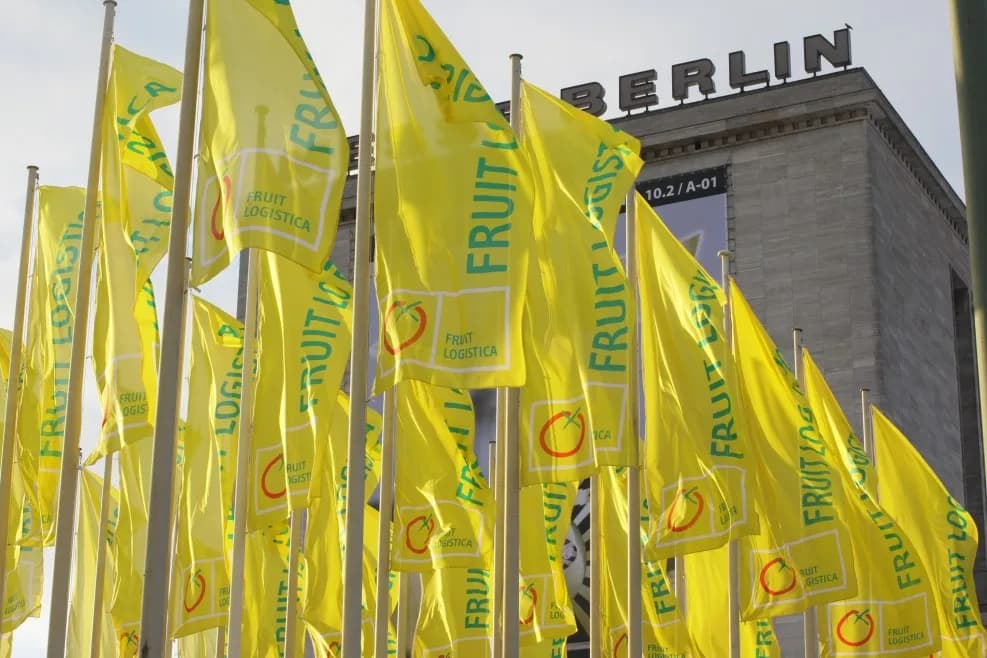 La Cámara de Comercio de Almería ofrece ayudas a empresas almerienses para la asistencia a Fruit Logistica