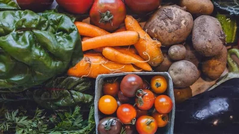 Las exportaciones españolas de frutas y hortalizas crecen un 5,8% en valor hasta junio de 2026