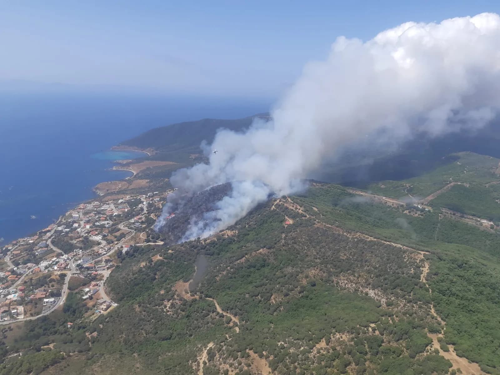 Cuatro medios aéreos trabajan en un incendio declarado en el Parque Natural del Estrecho