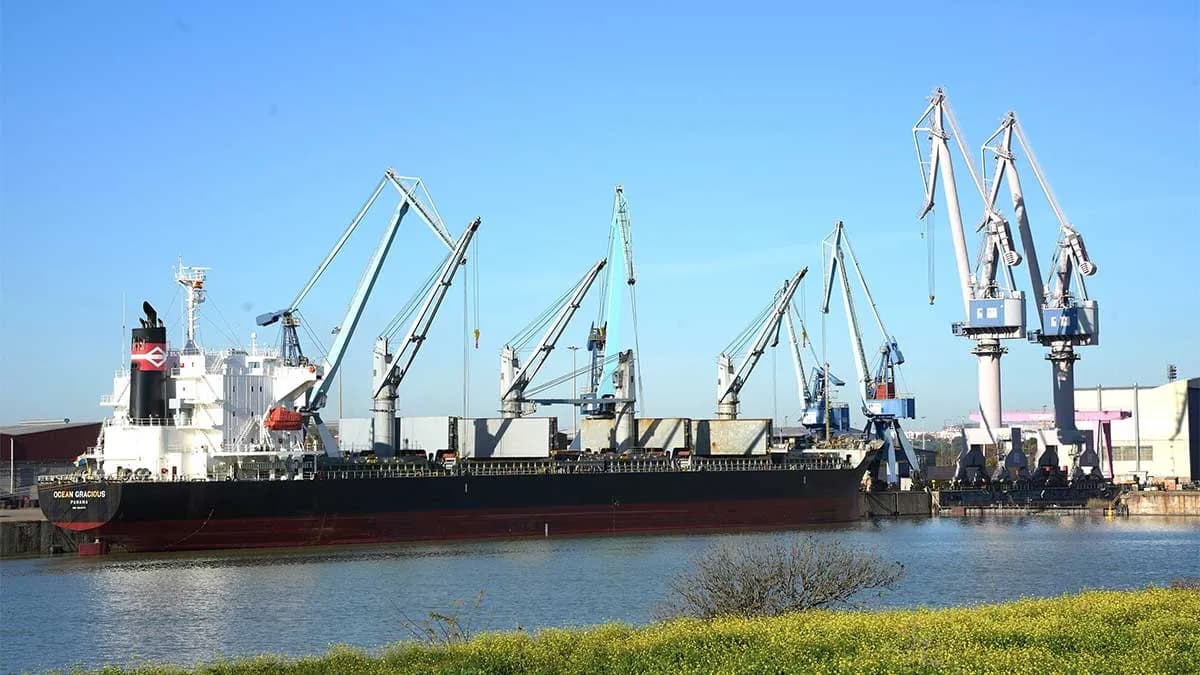 El Puerto de Sevilla acoge una nueva descarga de 17.200 toneladas de cereales
