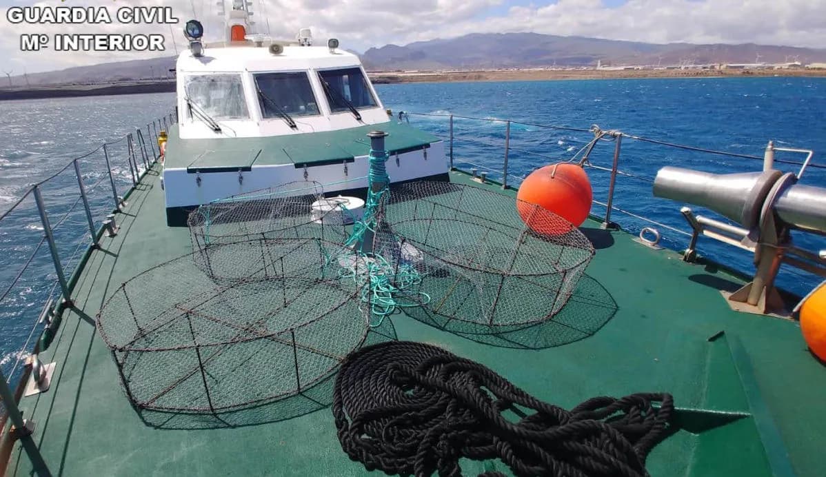 Denunciados dos barcos profesionales por pescar de forma ilegal casi cinco toneladas de bonito en Gran Canaria