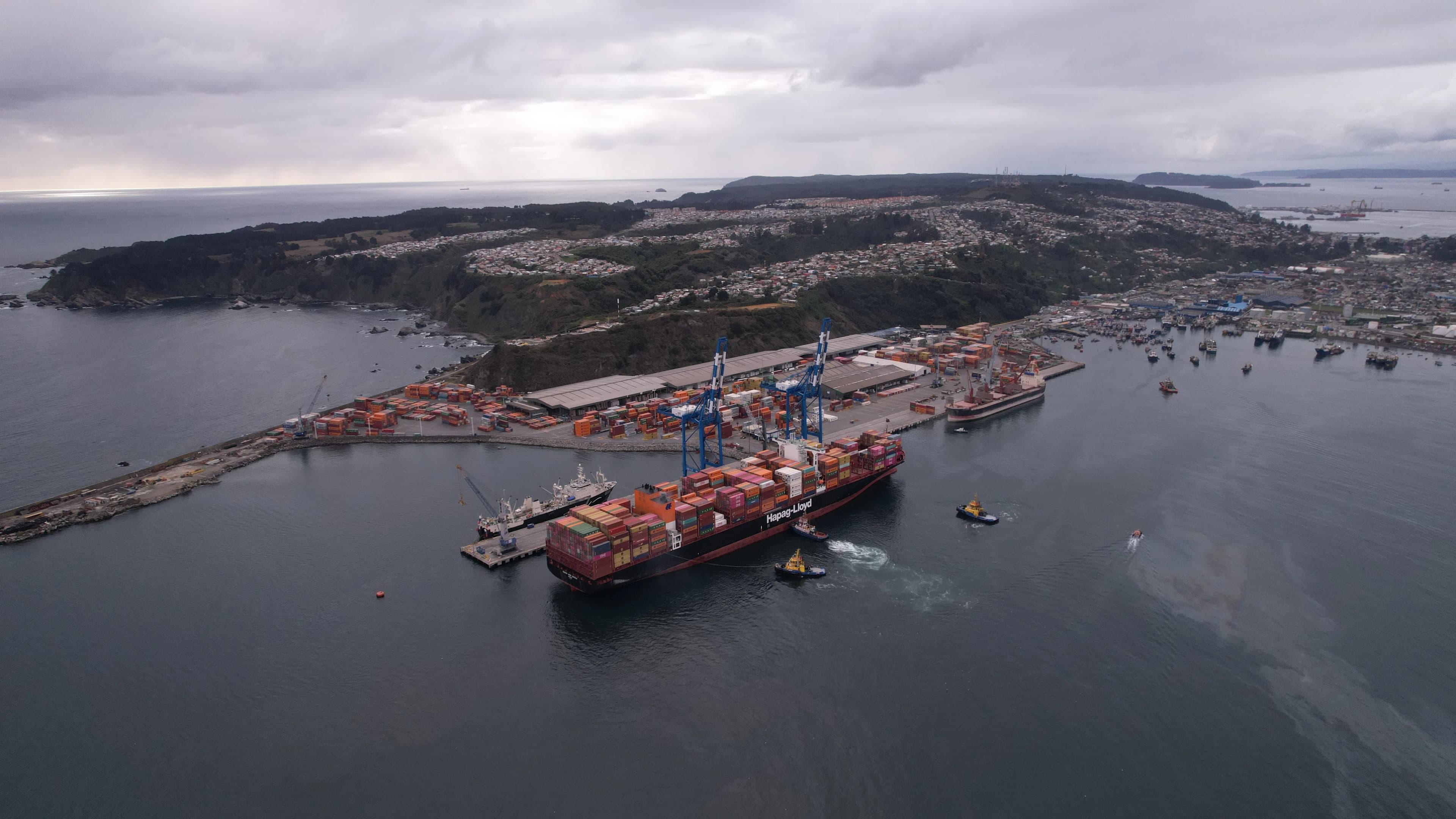 Hanseatic Global Terminals refuerza su estructura directiva con nuevos responsables para Europa y Latinoamérica