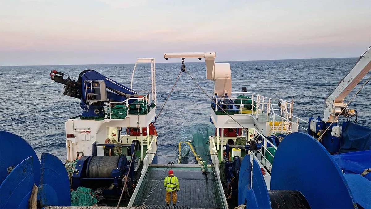 Investigadores del Instituto Español de Oceanografía inician una campaña de investigación en el Gran Banco de Terranova