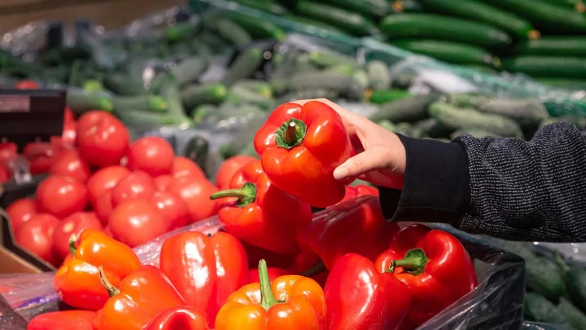 Aumenta un 10% el valor de las importaciones españolas de frutas y hortalizas frescas hasta julio