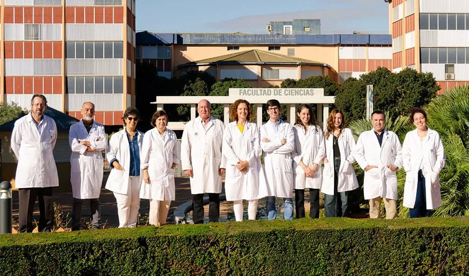 Investigadores andaluces reutilizan el alga asiática invasora para mejorar piensos de acuicultura