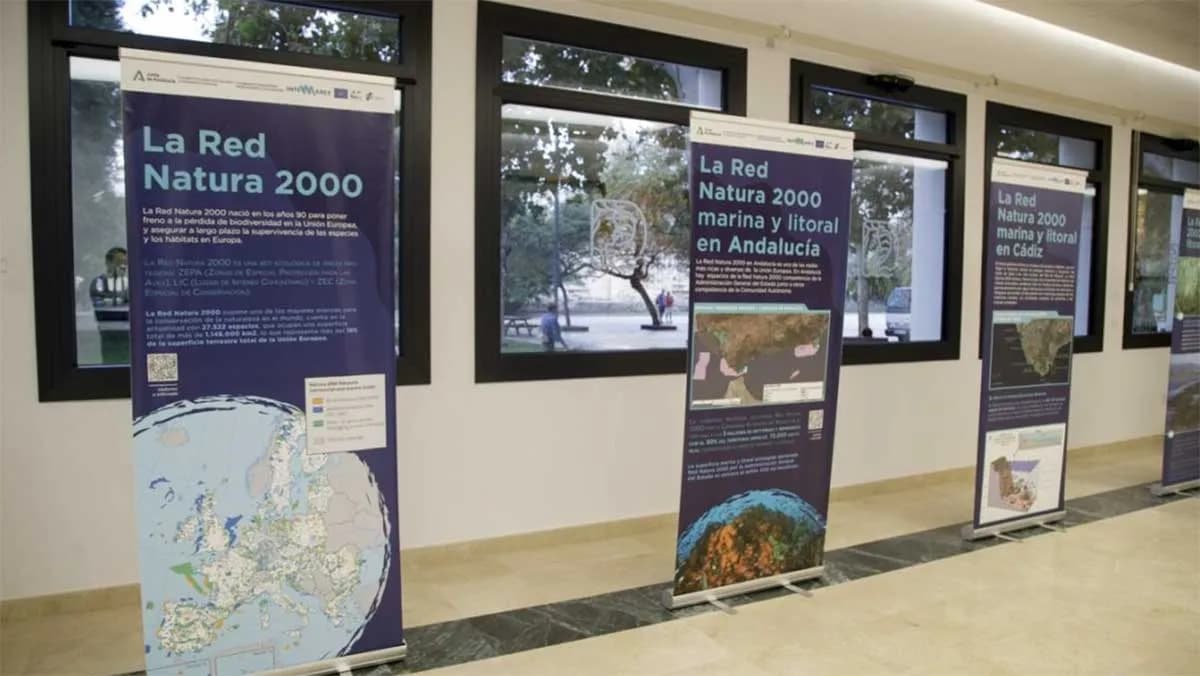 Junta de Andalucía y Autoridad Portuaria Bahía de Cádiz impulsan la sensibilización ambiental sobre espacios marinos