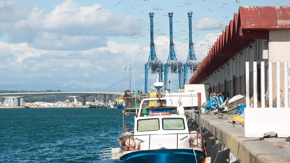 La APBA saca a concurso el servicio comercial de la lonja pesquera del puerto de Algeciras