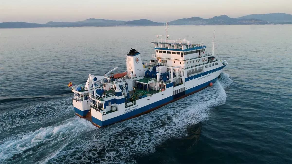 El IEO evalúa el estado del boquerón y la sardina en el Mediterráneo