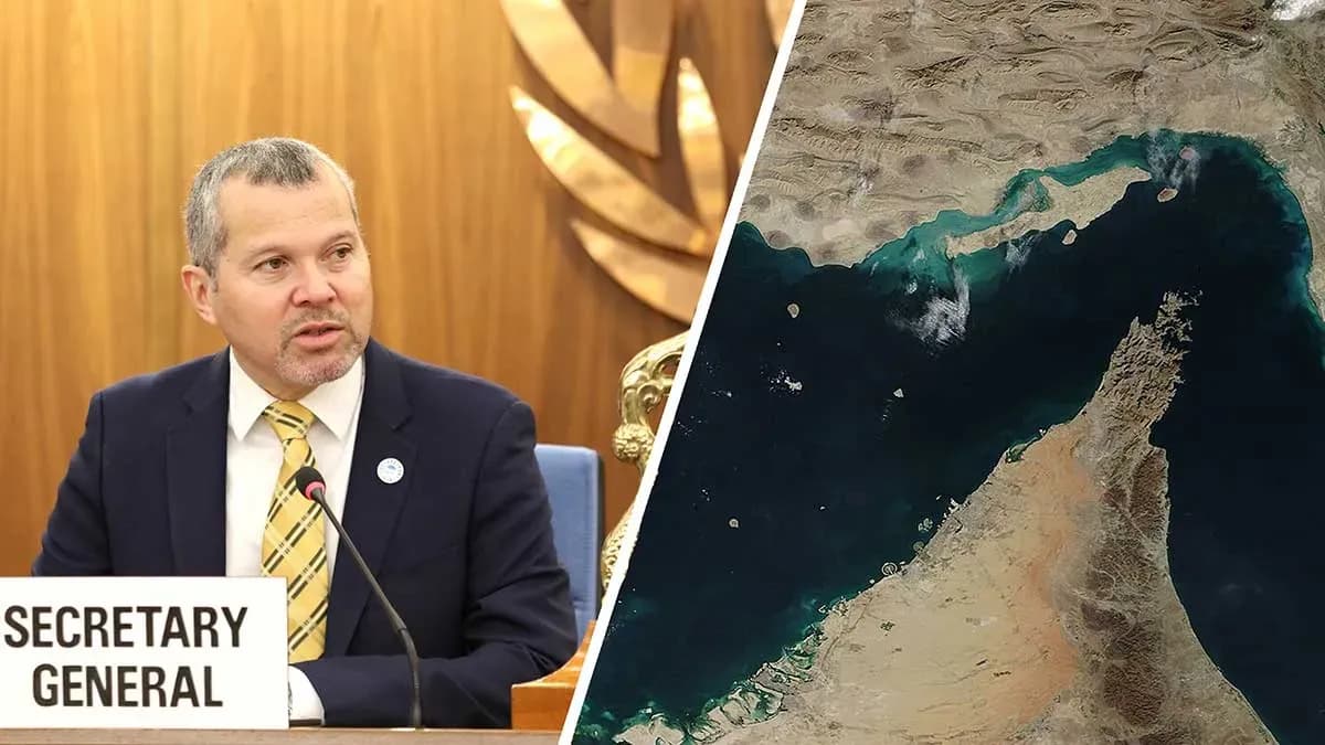 The IMO condemns attacks against civilian vessels in the Strait of Hormuz and calls for maximum caution from shipping companies