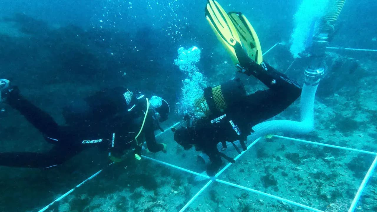 Thirty-four shipwrecks and more than 150 previously unknown archaeological sites discovered beneath the waters of the Bay of Algeciras