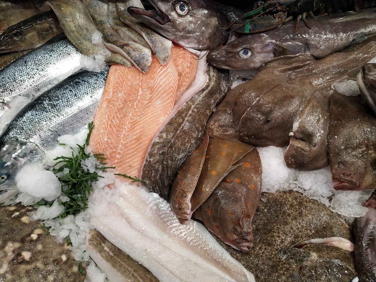 El sector pesquero insta al Gobierno a la reducción del IVA al 4%