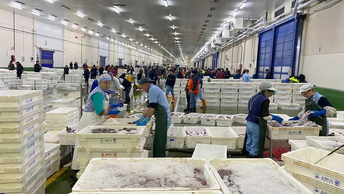 El Puerto de Vigo registra la mayor descarga de pescado del año