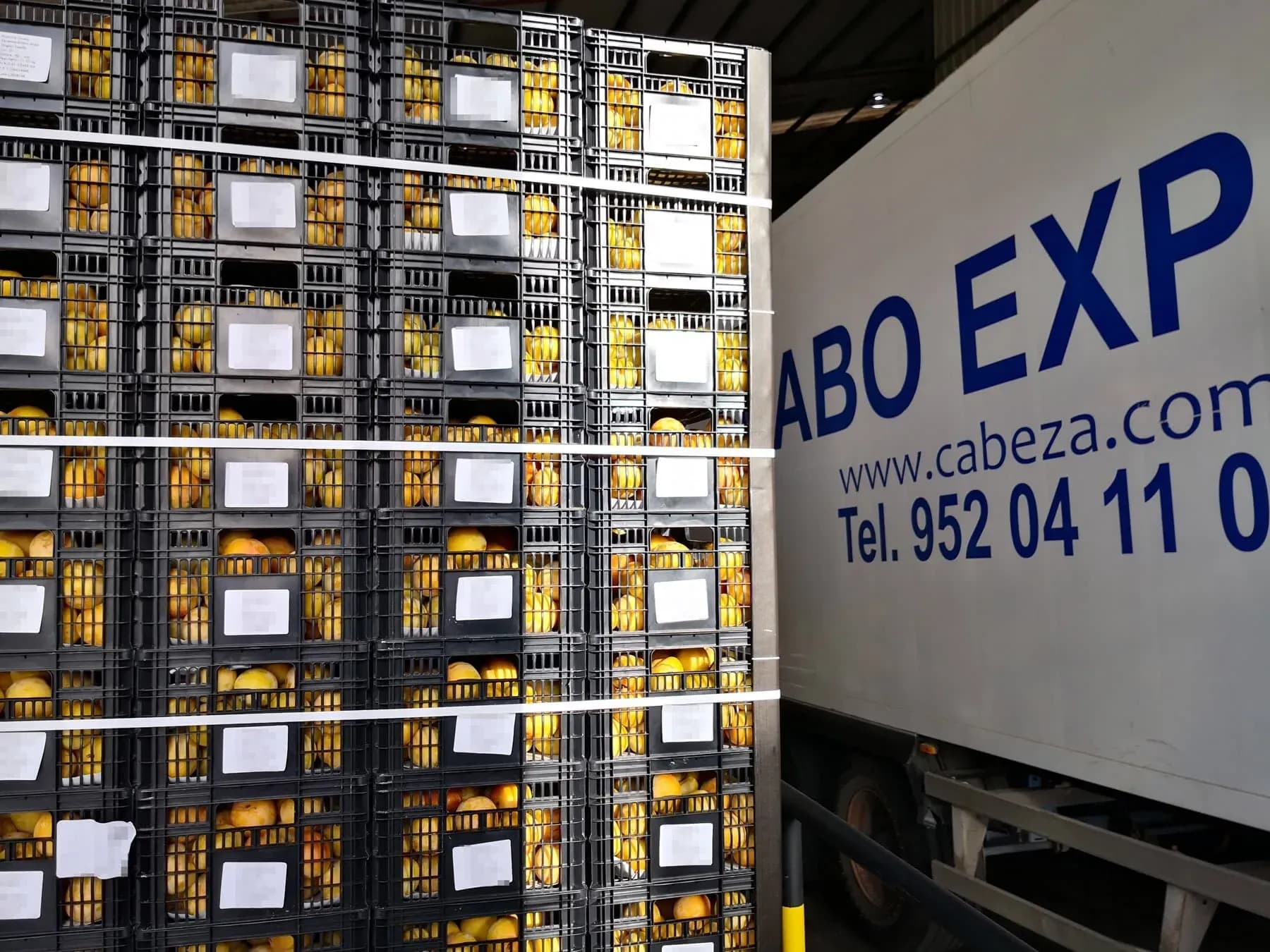 Grupo Cabeza refuerza su presencia en Fruit Attraction