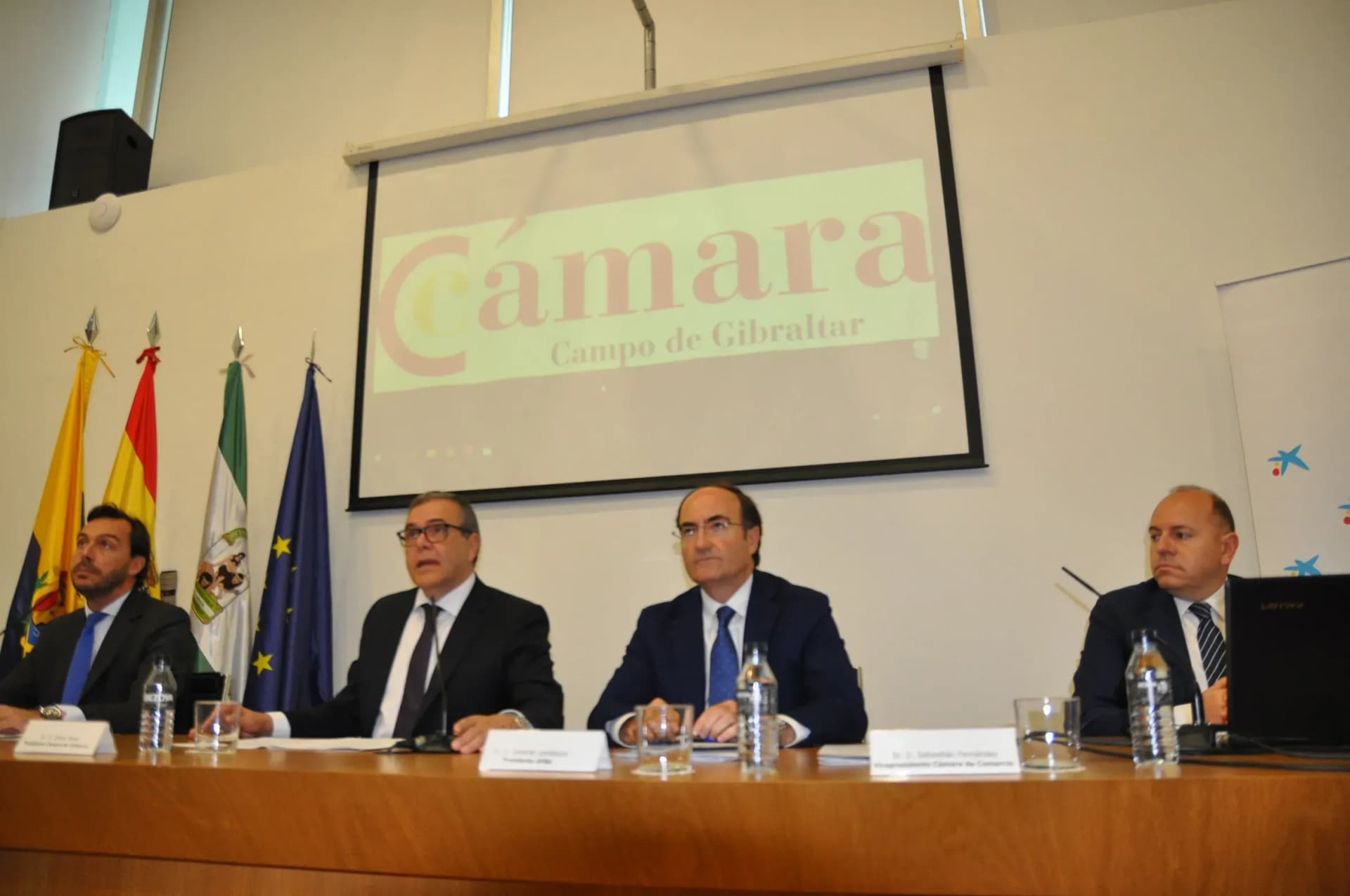 Landaluce detalla en la Cámara sus principales frentes abiertos tras su aterrizaje en la APBA