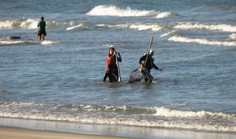 Andalucía ordena el cierre de la pesquería de coquina en el litoral mediterráneo tras alcanzar el límite anual de capturas
