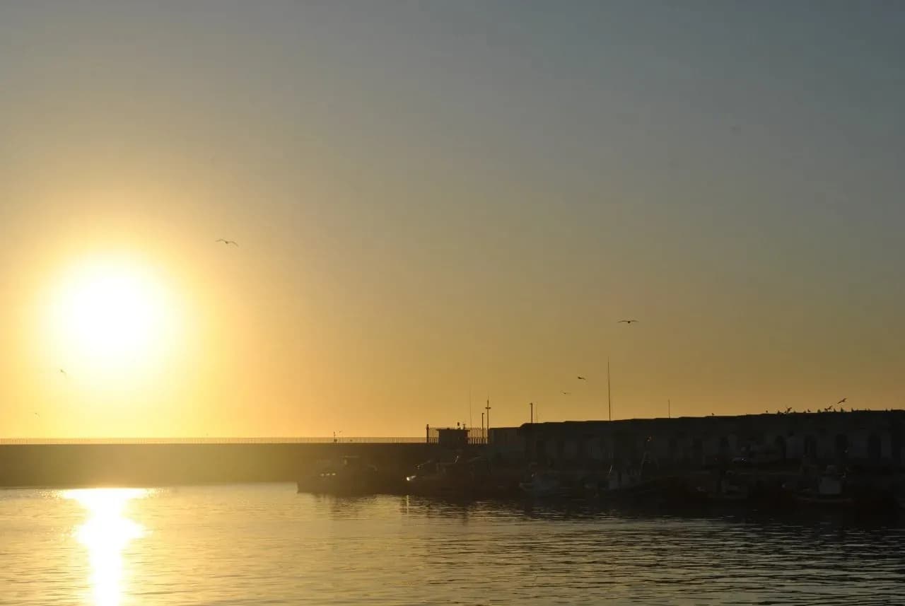 La UE lanza RecFishing, una plataforma digital para mejorar el control de la pesca recreativa