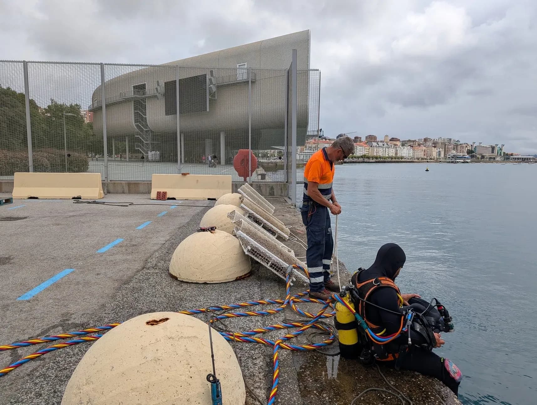 El Puerto de Santander constata resultados “muy positivos” en su proyecto piloto de regeneración de biodiversidad marina